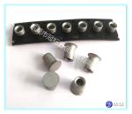 Self Penetrating Stainless Steel Rivet 5.3x4mm 5.3x5mm 5.3x6mm Sandblasting