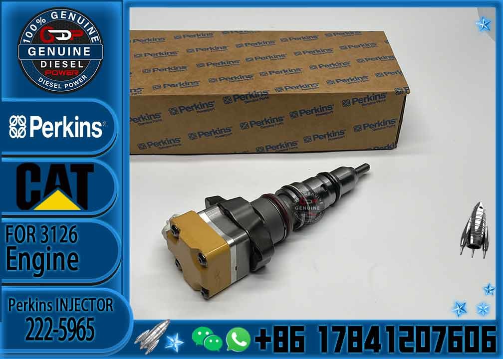 Common Rail Fuel Injector 222-5965 10R-9348 For Caterpillar 3126B/3126E Excavator Engine