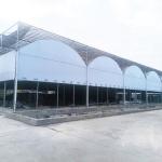 Steel Tructure Agriculture Large Tunnel Black White Film Light Deprivation
