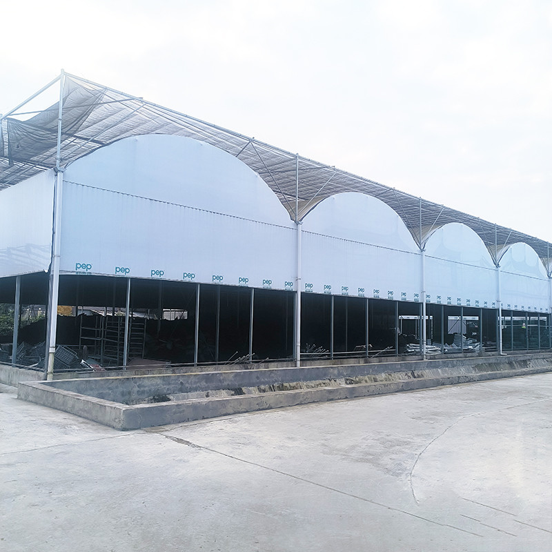 Large Poly Tunnel Agricultural Multi-span PE Film Flower Custom Greenhouse