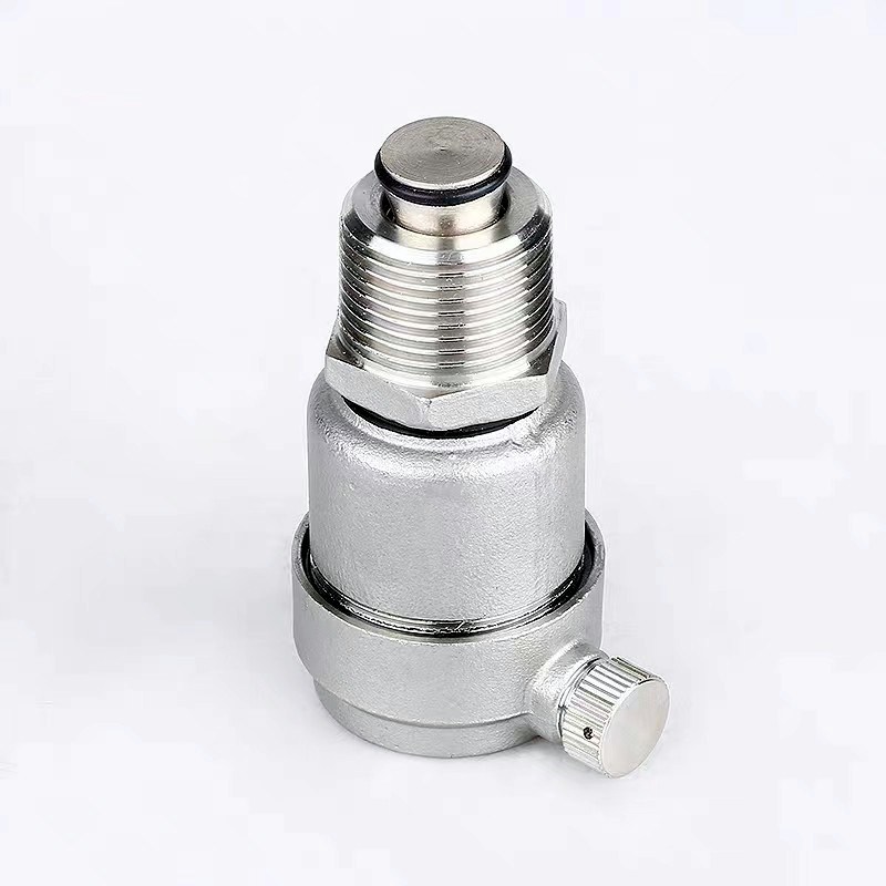 Stainless Steel 304 NPT Bsp Thread Automatic Release Exhaust Air Vent Valve