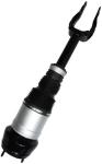 1663202513 Air Suspension Parts Air Suspension Strut
