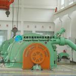 Stainless Steel 350kw Hydro Power Pelton Turbine Generator