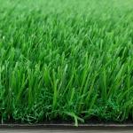 Ground Cover Turf For House Roof Top Amazing Anti Aging PE PP Material