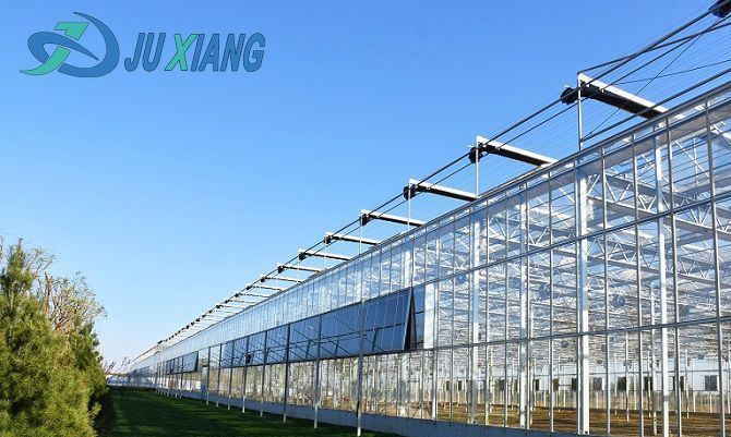 Economical Po/PE Film Greenhouse with Hydroponics