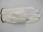 golf glove , golf gloves , glove , gloves