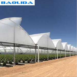 Quality High Multi Span Strong Plastic Greenhouse Saw Tooth Roof Ventilation wholesale