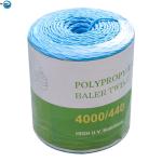 Factory Direct Sale Uv-treated Polypropylene Baler Twine Square Baler Twine Hay