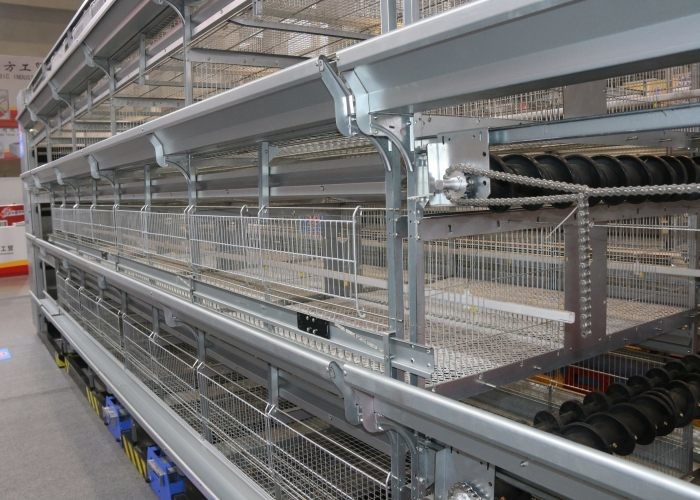 Professional 4 Tiers Poultry Breeding Cages High Labor Production Efficiency