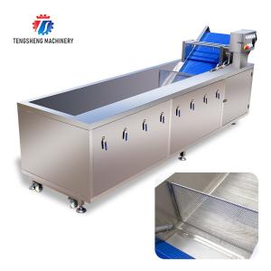 Sludge Stripping Kumquat Fruit Vegetable Washing Machine Water Pump Surfing
