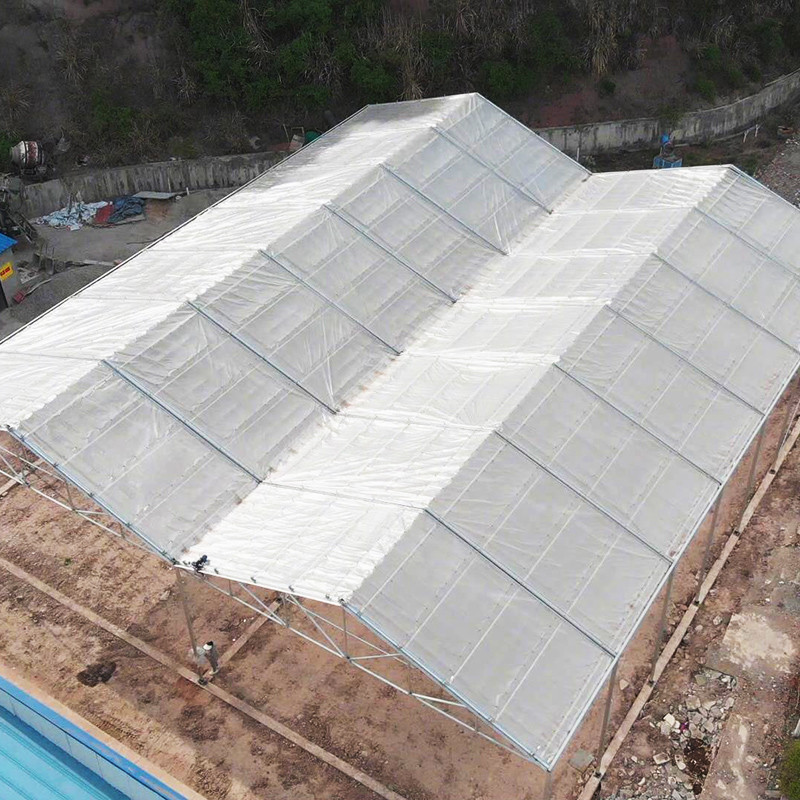 Hot Galvanized Steel Structure Tomato Plastic Film Retractable Roof Agricultural Poly Tunnel Greenhouse