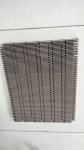 Material Plastic Modular Belt Line wear resistance 1000 Series