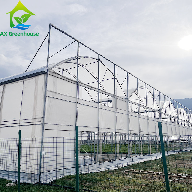 Durable Agriculture UV Resistant Plastic Film Greenhouse Equipment For Vegetables
