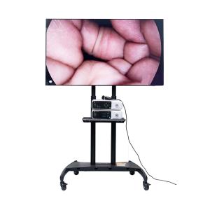 Quality 3840x2160p Ultra 4K Endoscope Camera Medical Monitor 55inch wholesale