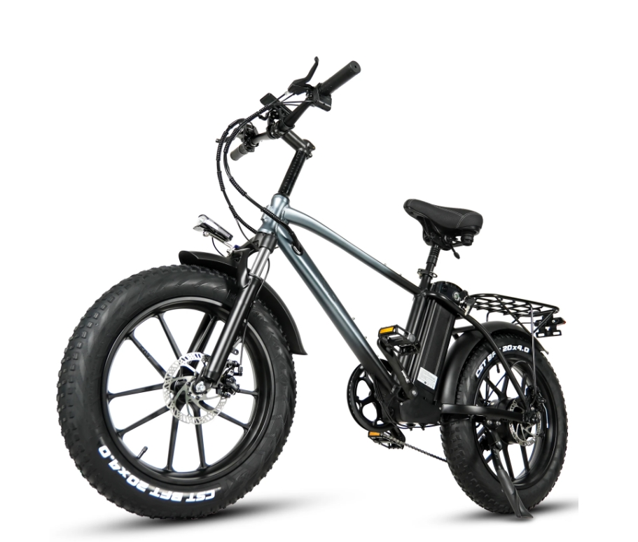 18Ah Lithium Battery Electric Hybrid Bike 750W 20 Inch Fat Tire Mountain Ebike For Adult