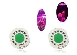 Quality Grow Tent Indoor 100W Full Spectrum COB Led Grow Light Chip 380-780nm wholesale