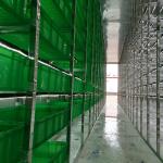 OEM 8KW Green Barley Hydroponic Fodder Container Environmentally Friendly