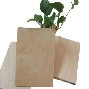 Quality Flat Cut 18mm Birch Faced Plywood 4x8 12mm Melamine Glue wholesale