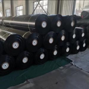 Quality Anti Seepage HDPE Geo Membrane High Density Polyethylene Film For Artificial Lake Fish Pond wholesale