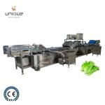 Stainless Steel 304 Onion and Parsley Leaf Vegetable Washing Machine with