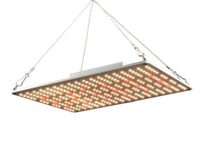 Quality IP67 660nm 100W Quantum Board Led Grow Lights ETL wholesale
