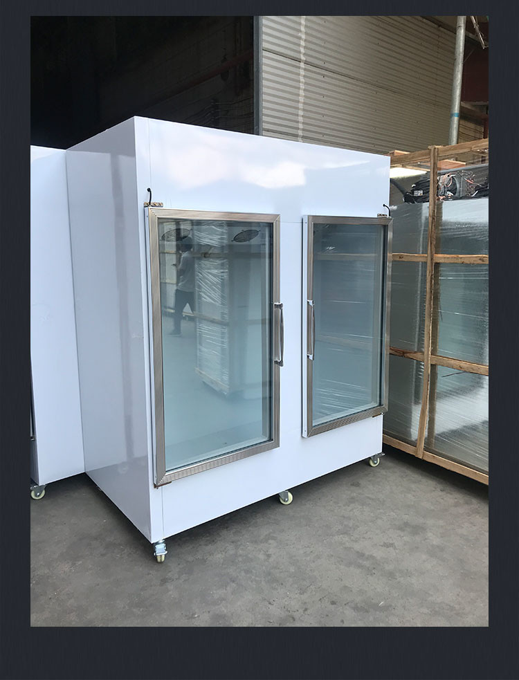 Commercial Ice Merchandiser Stainless Steel Full Automatic Air Cooling Dipping Freezer