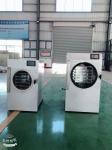 Electric Heating Domestic Freeze Dryer For Vegetable Honey Strawberry Rose