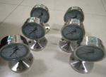 Stainless steel corrosion proof diaphragm pressure gauge flang type YTP -100F