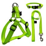Custom Luxury Logo Dog Harness Lead Set Green Retractable Dog Leash