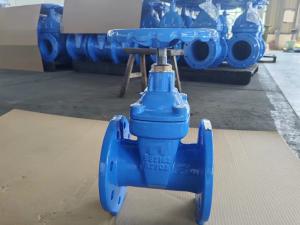 Quality Flanged BS5163 Gate Valve 3 inch Resilient / Metal Seated wholesale