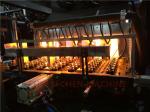 Carbonated Drink PET Bottle Blow Molding Machine 1 Liter Bottle Manufacturing