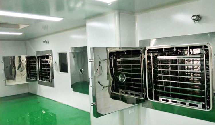 Bio Pharmaceutical Vaccine Freeze Drying Equipments 50L 5.2M2