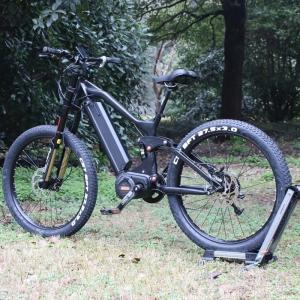 Quality 1000w 48v Fat Wheel Mountain Bike , Fat Tire Ebike Kit With BAFANG G510 Motor wholesale