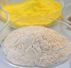 Quality Improve Amino Acid And Peptide Content With Beverage Enzyme wholesale