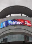 5mm Commercial Led Display Screen 5500cd/Sqm 320*160mm