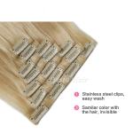 Brazilian Straight Clip In Pre Bonded Hair Extensions No Any Bad Smell