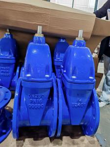 Quality Fusion Bonded Epoxy F4 Gate Valve DIN3352 Standard Soft Seat Valve For Manual Operation PN10/PN16 wholesale