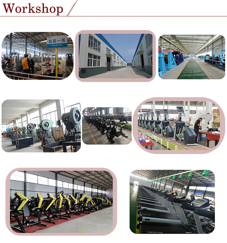 Commercial Gym Use WeightLifting Barbell Straight And Curl Type Available