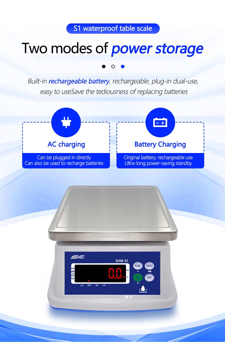Double Layer Structure 30KG Waterproof Scale with Precision Sensor and LED Display