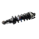 Shock Absorber Audi Air Ride Suspension Parts For R8 2008-2016 Rear Hydraulic