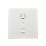 300Mbps Ceiling Wireless Access Point AC Powered 2.4G Signal