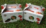 foldable logo-printed corrugated box