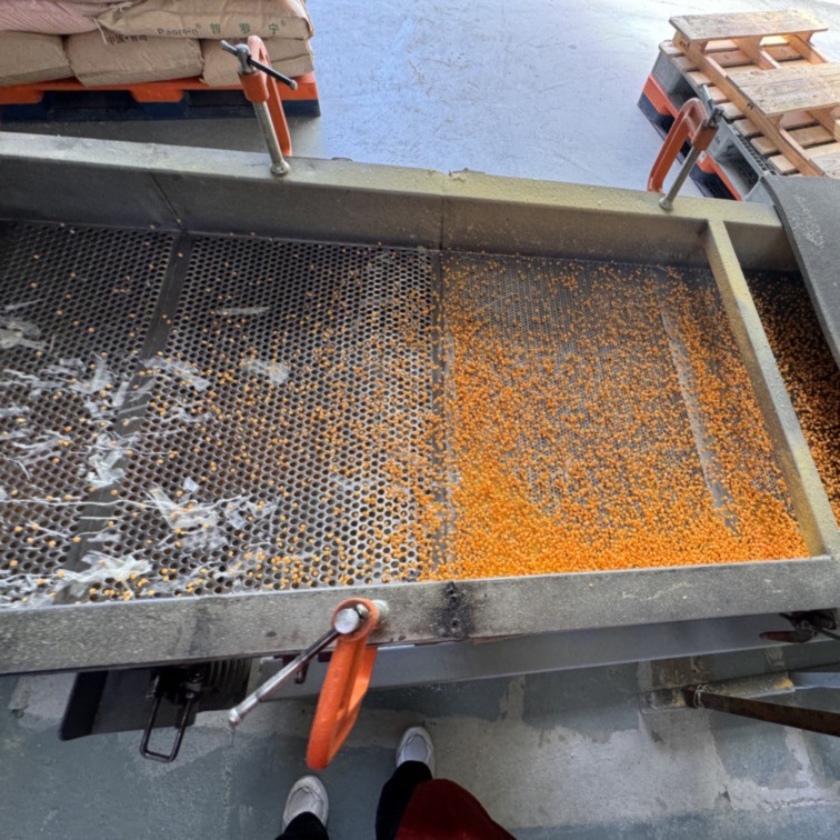 Single-Screw Extrusion Granulation Machine For XPE IXPE Pelletizing Processing