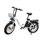 Electric Bike Tire EU Warehouse Customized Tire With 10AH/15AH 21700 50E Battery