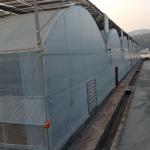 Hydroponic Growing System Multi Span Greenhouse Plastic Film Shading Net