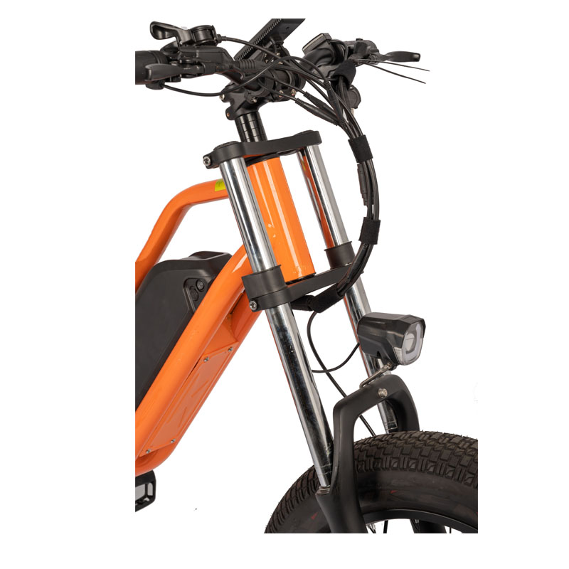 48V Electric Bike with 13Ah Battery 750W 1000W Motor 7 Speed 20" Tire and 180KG Load