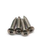 DIN7983 A2 SS 304 Stainless Steel Self Tapping Screws SQ Drive Raised Head Inox