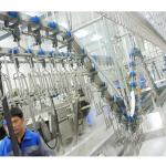 Stainless Steel Chicken Slaughtering Line Machine Solution for Poultry