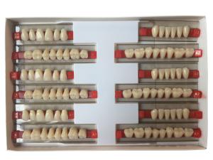 Quality High Wear Resistance Dental Acrylic Resin Teeth For Biocompatibility wholesale