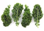 Juice Kale Extract Powder